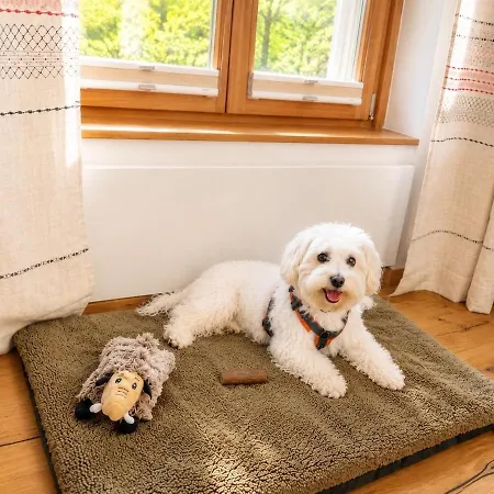 Ferienhaus Waldhaus Josefine - Hundefreundliches Mit Traumhafter Aussicht *